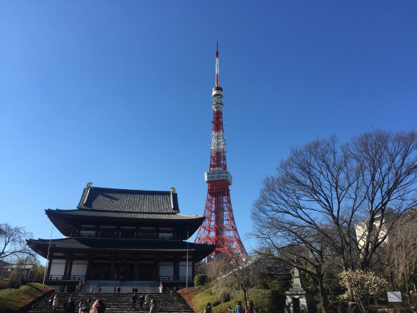 東京初詣デートおすすめランキング6選。混雑を避けるには